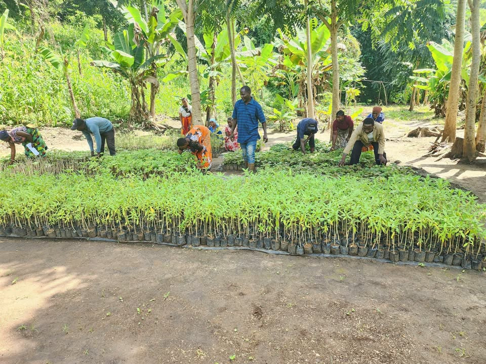 Growing Capacity, One Season at a Time